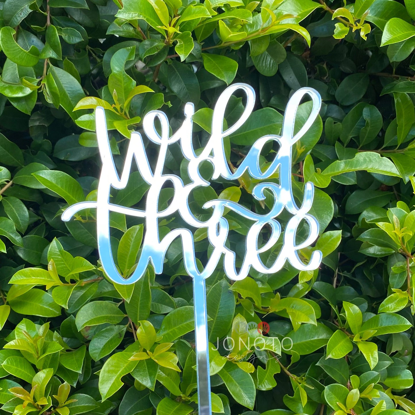Cake Topper | Wild & Three