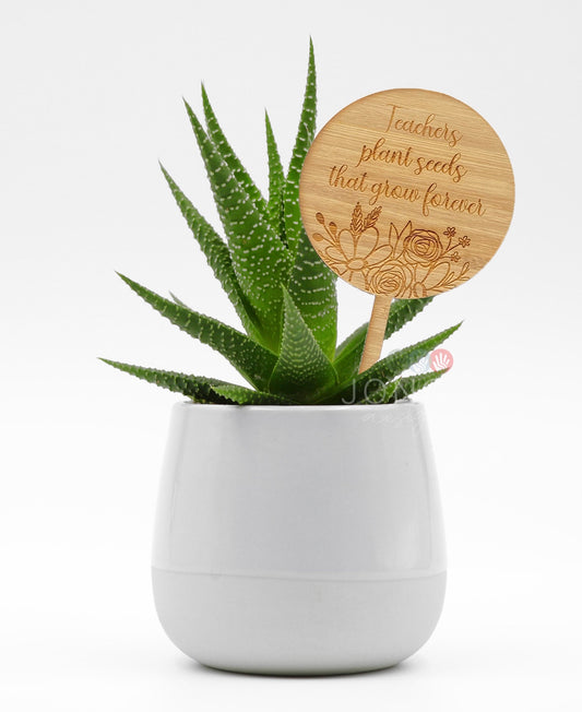 Planter Stick | Teacher Gift