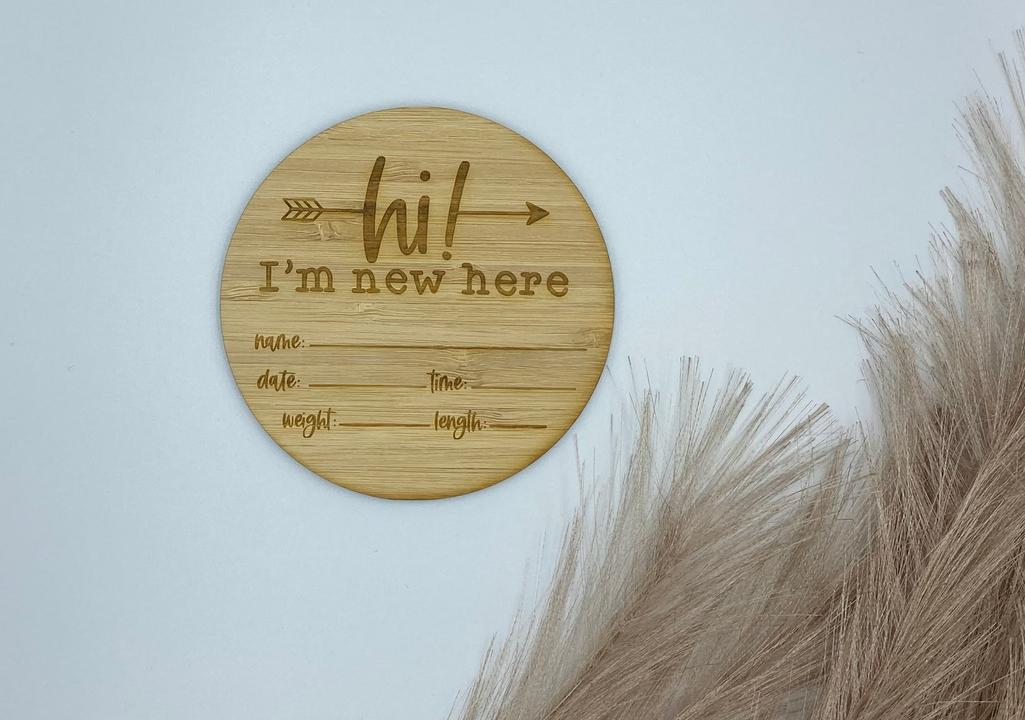 Baby Milestone Disc | Arrow Design