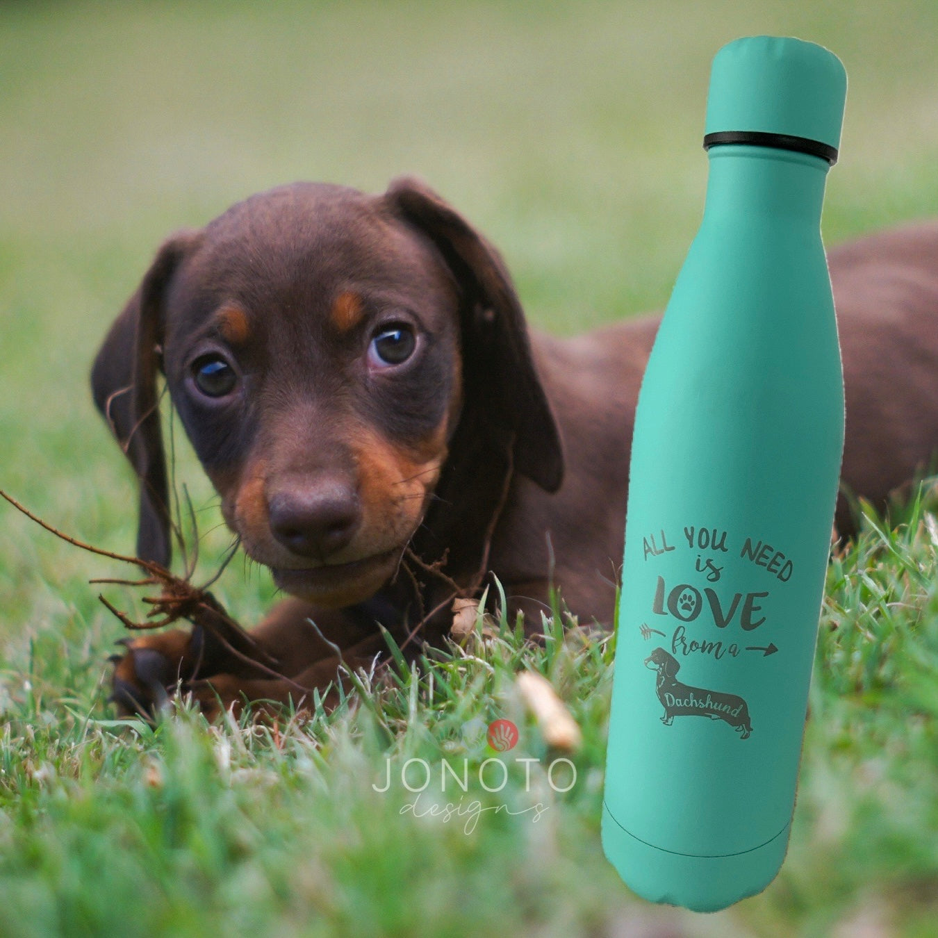 Insulated Water Bottle | Dachshunds